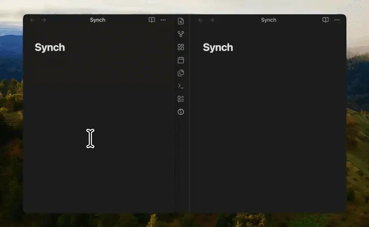 Synch product image