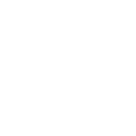 Termius logo